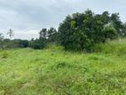 2 Acres Land for Sale in Dambulla