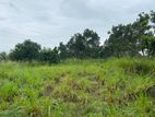 2 Acres Land for Sale in Dambulla