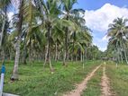 2 Acres Land for Sale in Narammala - Dampelessa