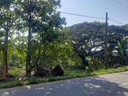 2 Acres Main Road faced Land For Sale in Pannala, Makandura. EL002
