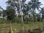 2 Acres of Land with Coconut Trees for Sale – Poruwadanda, Horana