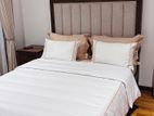 2 Bedroom Apartment for Rent in The Residencies, Kotte (EM102VW)