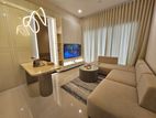 2 Bedrooms Fully Furnished Apartment at Trizen Colombo Rent