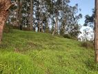 2 Blocks of Land for Sale – Kandy Road, Nuwara Eliya (“Little England”).