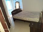 2 BR Apartment Rent Colombo 4