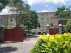 2 BR LUXURY APARTMENT FOR RENT- MOUNT CLIFFORD RANGE, HOMAGAMA