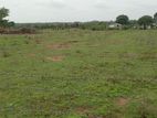 Land for Sale Vavuniya