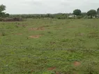 Land for Sale Vavuniya
