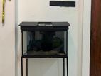 2 Feet Fish Tank
