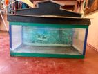 2 Feet Glass Fish Tank With Custom House Top Cover