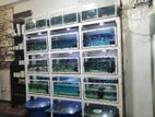 2' Fish Tank Set