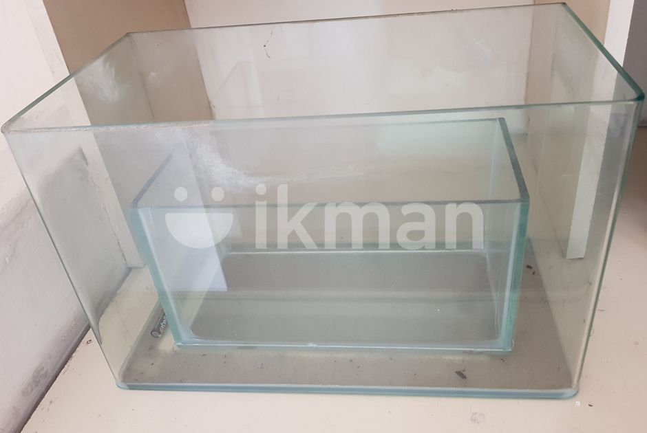 Fish Tanks for Sale in Colombo 4 ikman