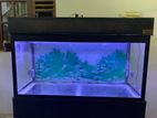 2 Fish tanks with accessories