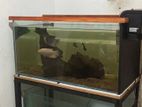 2 Fish Tanks with Steel Stand