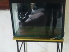 2 Ft Fish Tank