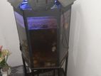 2 Ft Fish Tank with Stand