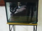 2 Ft Fish Tank With Stand