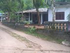 2 Houses for Sale with Big Land Gampola