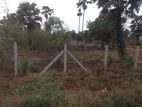 2 Lachams Bare Land Road Facing Jaffna