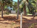 2 land blocks (each10) sale in Negombo