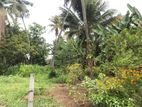 2 Land blocks for sale AgA office road kirillawala kadawata