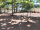 2 Land Plots (15 perch each) for Sale in Anuradhapura