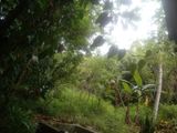 2 Lands for Sale Daulagala