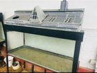 2 Large Fish Tanks with Canister Filter