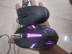 2 Mouse RBG