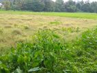 Land for Sale Kurunegala