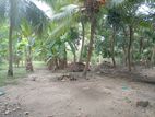 Land for Sale Kilinochchi