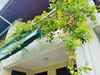 2 Storey House for Sale Battaramulla Ds30010