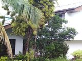 2 Storied 4 Bedroom House for Rent in Pita Kotte