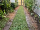 2 Storied house for Rent - Near havelock city mall Colombo 5