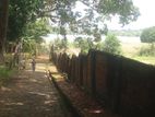 2 Storied House With Super Land For Sale Piliyandala