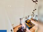 2 Story Brand New Commercial Building Kalubowila