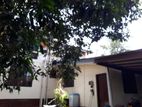 2 Story House for Rent in Rajagiriya , Aggona