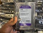 2 TB Harddisk (Seagate SKYHAWK/Barracuda & WD Purple)