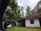 20-Acre Coconut Estate for Sale - Kurunegala