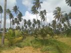 20 Acre Coconut Estate|Excellent Agricultural & Investment Opportunity