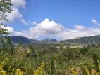 20 Acre Land with Hill Country View Near Galaha for Sale
