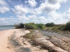 20 Acres Beachfront Land for Sale in Wanathawilluwa (ml-Putww-16)