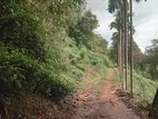 20 Acres Land for Sale Parakaduwa