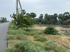 20+ Acres Premium Land for Sale – Thalaimannar, Mannar
