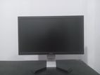 DELL Monitor