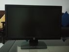 20 Inch Monitor Hp