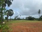 20 Land for Sale in Punnalaikkadduvan
