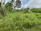 Land for Sale in Homagama