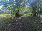 20 P Land for Sale Kurunegala Kandy Road, Millawa