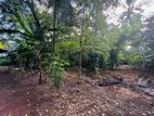 20 P land for sale Maharagama